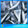 Sardina congelada sardina entera cocinada